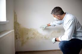 Reliable San Marino, CA Mold Inspection Solutions